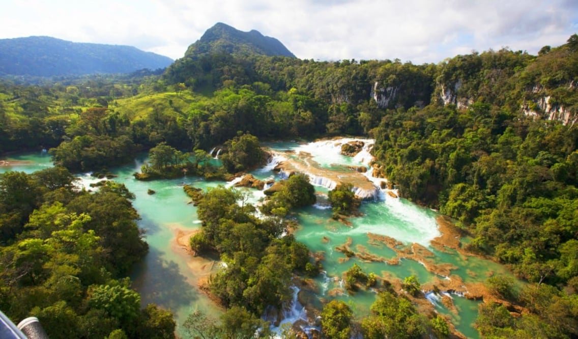 La Selva Lacandona es la zona con mayor diversidad animal en nuestro país. (Foto: Sectur Chiapas)