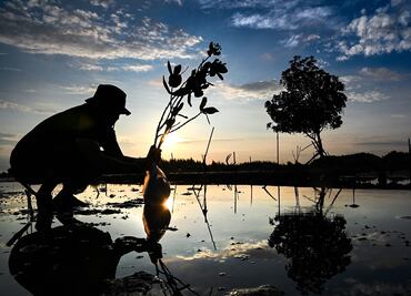 Día de la Tierra: Los últimos 7 años han sido los más calientes, según el informe de Copernicus