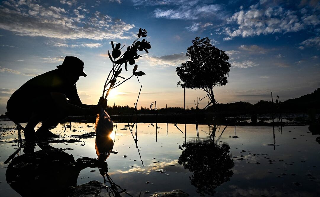 Las capas de hielo de Groenlandia y la Antártida siguen perdiendo masa. Foto: AFP 