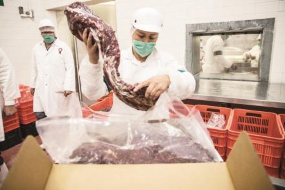 Carne de caballo mexicana, platillo gourmet de exportación