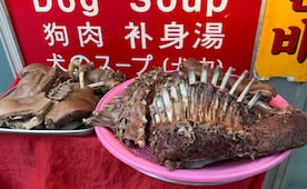 Corea del Sur se despide de la sopa de carne de perro; comerciantes cuestionan que nuevas leyes afectan comercio y tradiciones