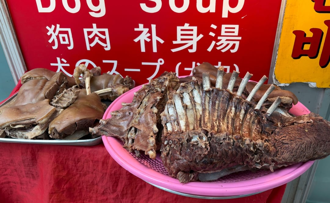 Corea del Sur vive el último verano en el que podrá venderse la sopa de carne de perro, un plato tradicional de los meses de más calor, antes de que la prohibición del comercio de estos animales para consumo entre en vigor en 2027, mientras el negocio sufre un inevitable declive. Foto: Ruy A. Valdés/ EFE