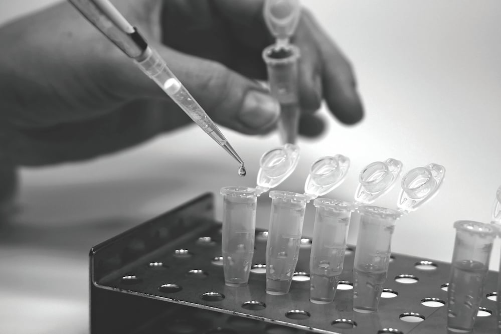 Fotografía: Archivo/EL UNIVERSAL