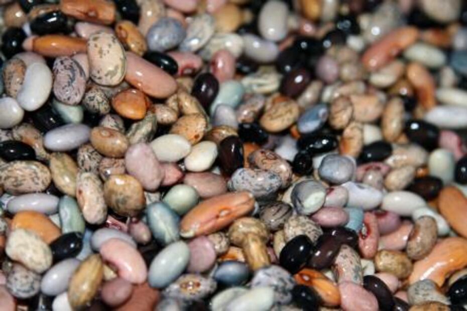 7 razones para comer frijoles