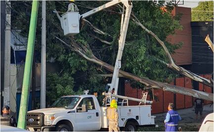 CFE dispone más de 2 mil trabajadores para atender afectaciones por huracán Beryl