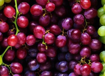 Uvas en su esplendor; descubre cuál es la mejor manera de mantenerlas libres de hongos