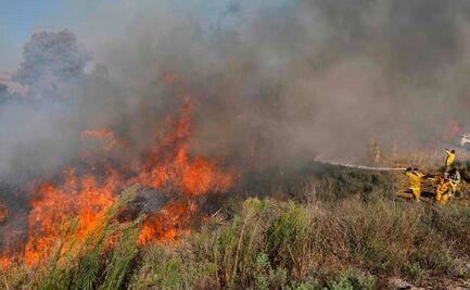 Siria ejecuta a 24 personas por provocar incendios en "actos terroristas" en 2020