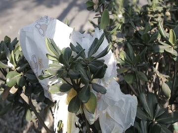 PRI acusa omisión de autoridades capitalinas tras #pañalazo