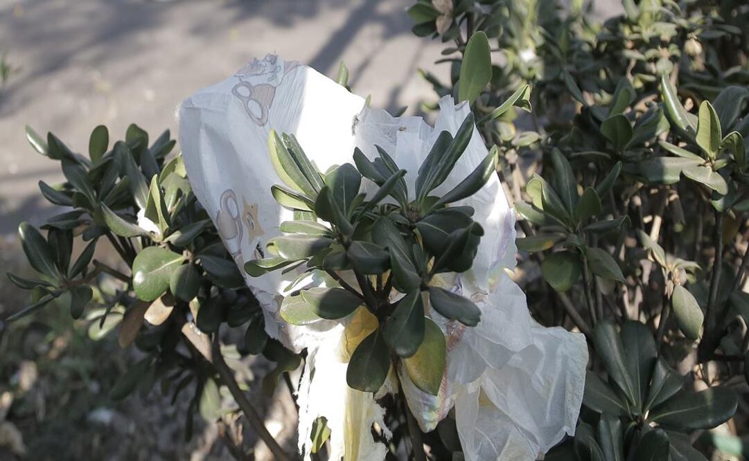 Foto: Alejandra Leyva / EL UNIVERSAL