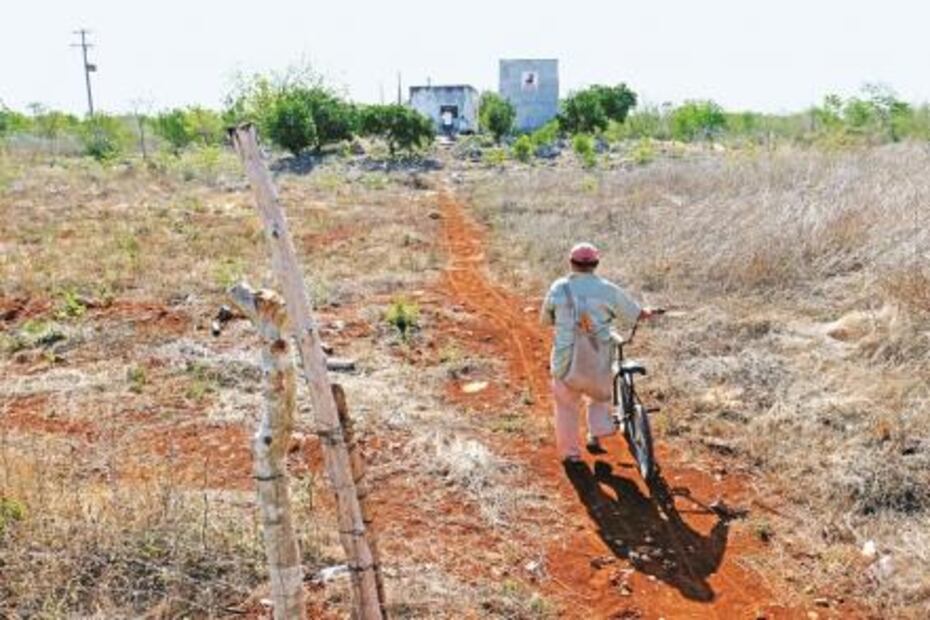 Historia. Engañan a campesinos de Yucatán con obras agrícolas