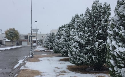 Tras 20 años, nevada sorprende a Torreón