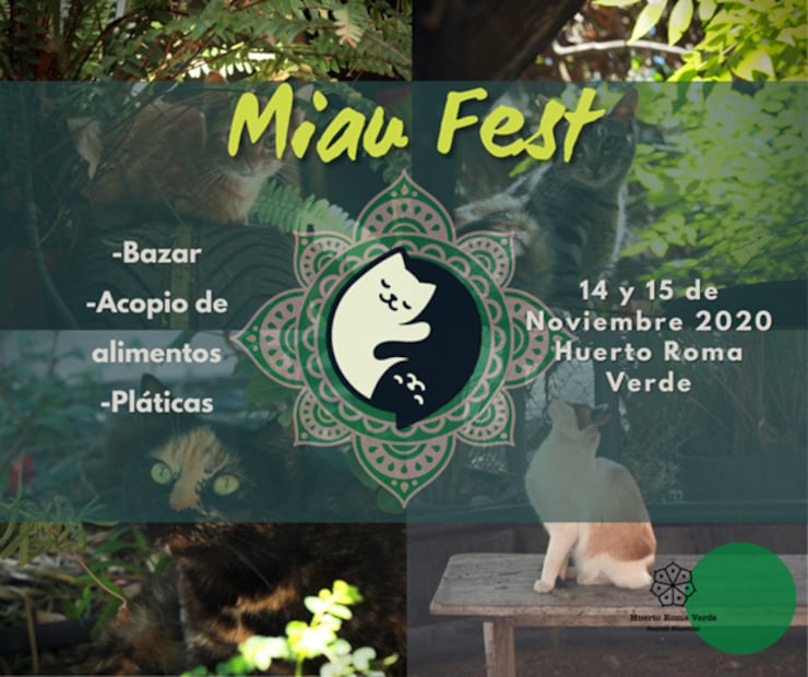 Conoce todos los detalles sobre el Miau Fest