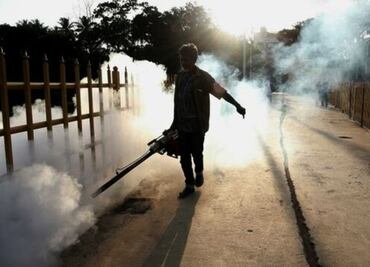 Descubren cientos de nuevos virus transmitidos por insectos