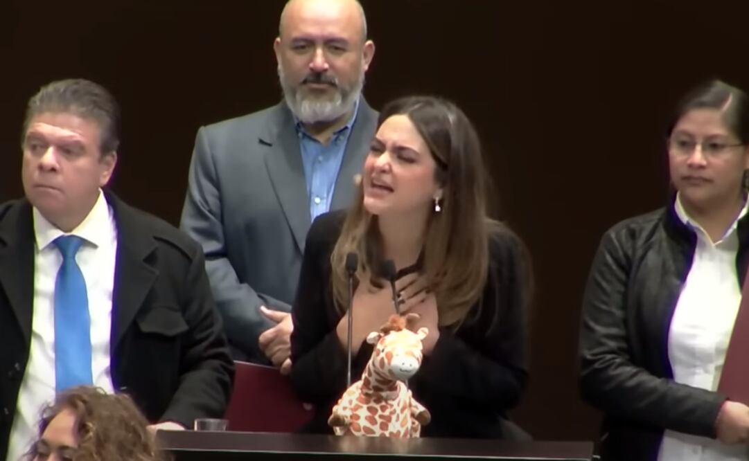 Andrea Chávez presentó reservas al dictamen que expide la Ley de Ingresos de la Federación para el Ejercicio Fiscal de 2024. Foto: Captura