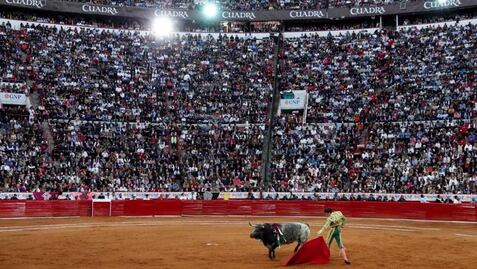 Iniciativa contra corridas de toros sin violencia, planteamiento encaminado a modificar 500 años de expresión cultural: Plaza México