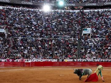 Iniciativa contra corridas de toros sin violencia, planteamiento encaminado a modificar 500 años de expresión cultural: Plaza México