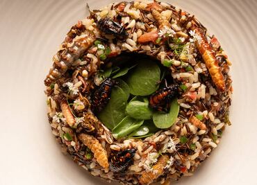 Festival de Bichos en Coyoacán: come hormigas, chapulines y más