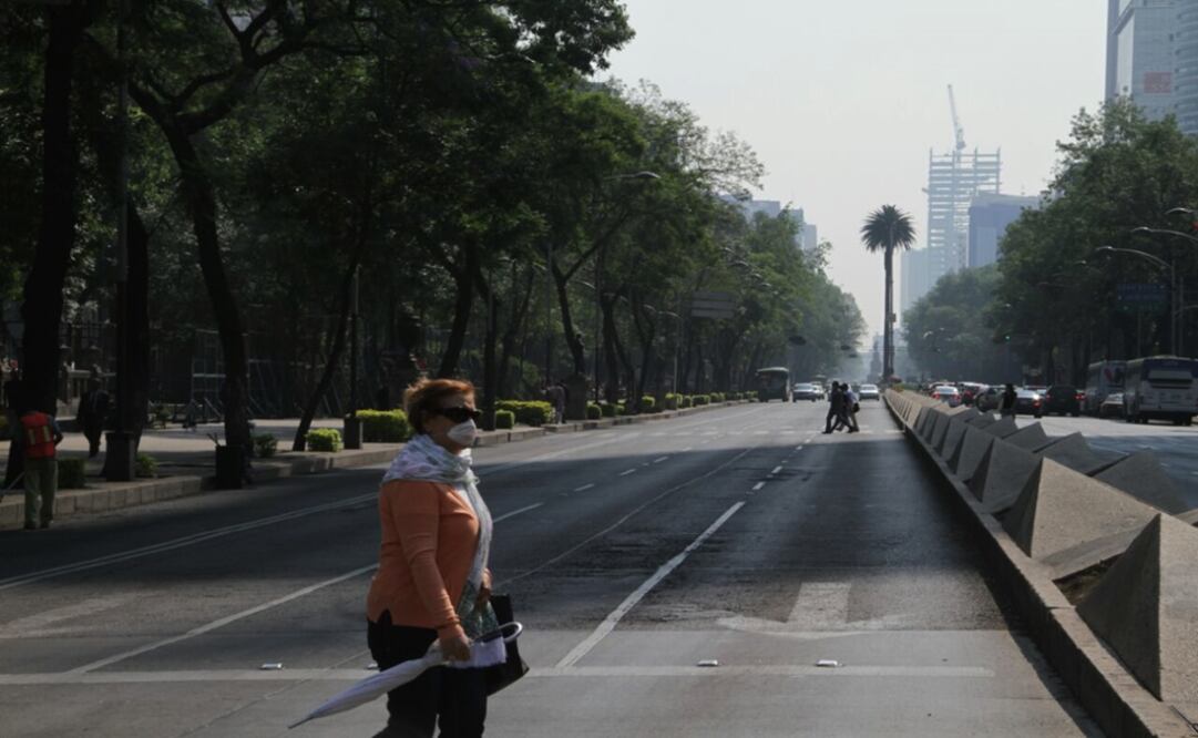 Foto: Juan Boites/ EL UNIVERSAL