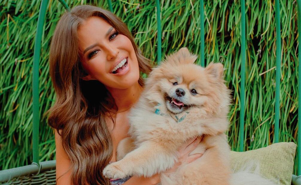 Famosos celebran el Día del Perro