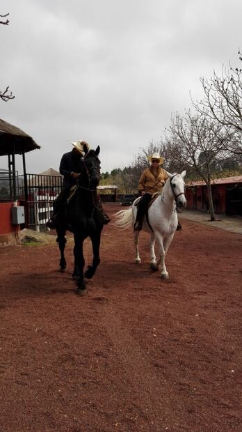 Conoce el rancho donde puedes hospedarte en la CDMX
