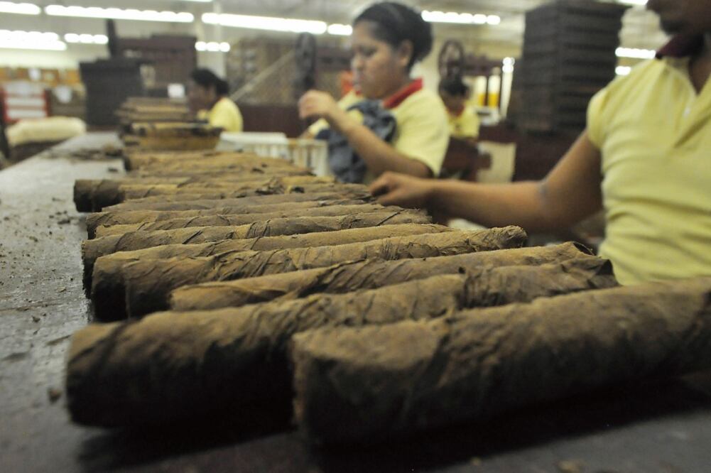 Artesanos del tabaco recibieron recientemente la solicitud de un pedido desde Eslovaquia, donde cada dos o tres meses se envían contenedores con 100 mil puros, hecho que enorgullece a todos los involucrados en el proceso de elaboración (PATRICIA MORALES)