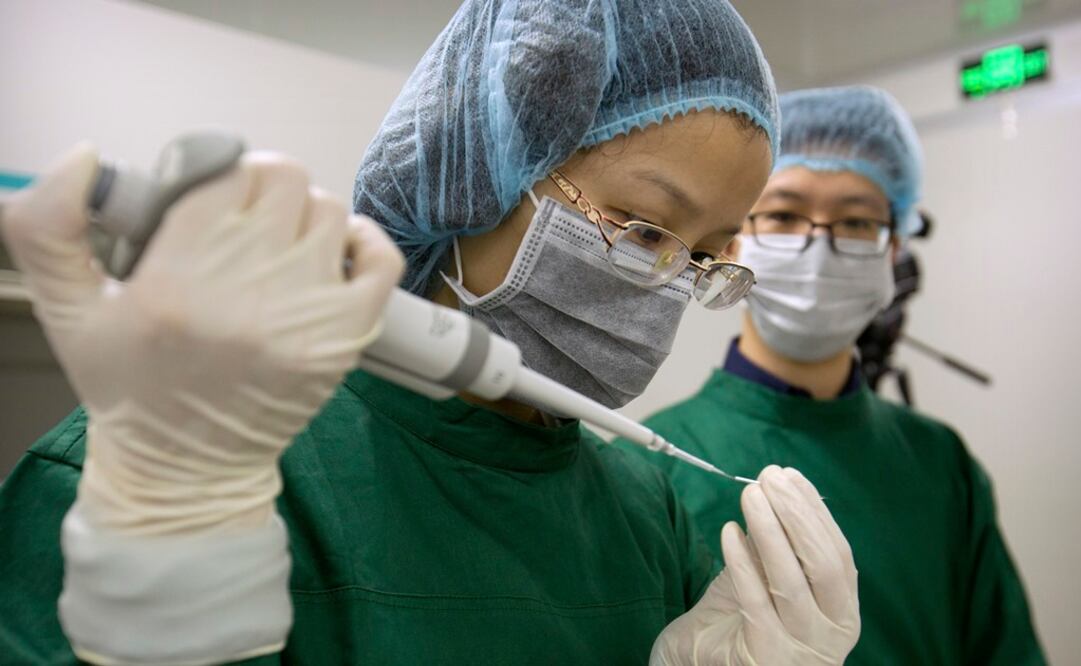Dos investigadores del laboratorio de He Jiankui, líder de este proyecto. Foto: AP 