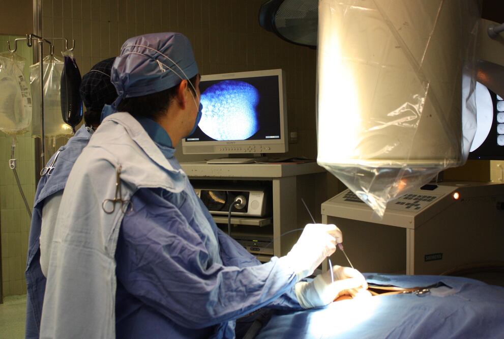 Foto: Archivo/EL UNIVERSAL