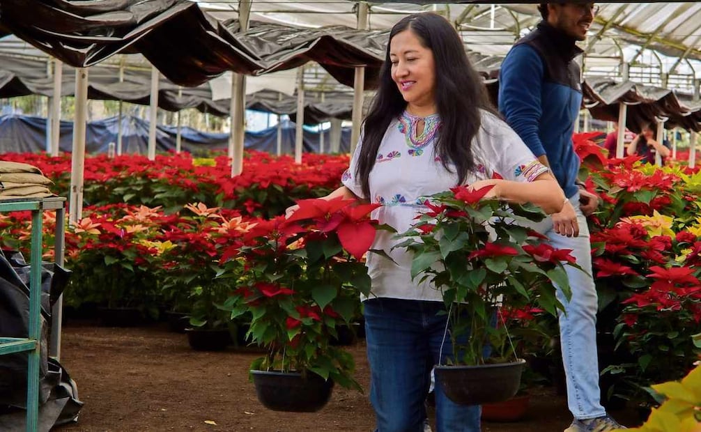 Xóchitl señala que desde el mes de abril comienzan con la siembra de las flores para que estén listas a finales de noviembre para su venta. Foto: Osmar Alvarado / EL UNIVERSAL
