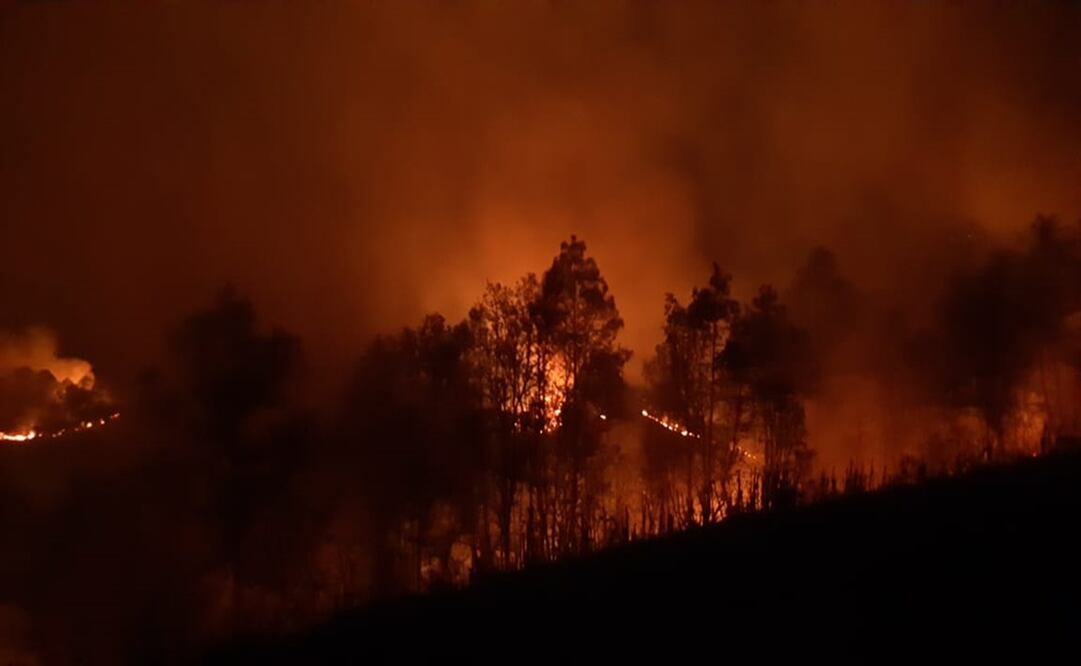 La Conafor reportó un incremento en la superficie afectada, ya que esta semana hubo un total de 159 mil 674 hectáreas (ha), en comparación con la anterior. Foto: Archivo / EL UNIVERSAL
