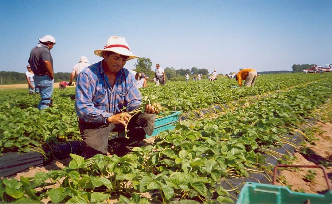 Foto: Archivo/EL UNIVERSAL.