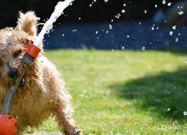 ¿Qué hora será la más calurosa este lunes 28 de marzo en CDMX?