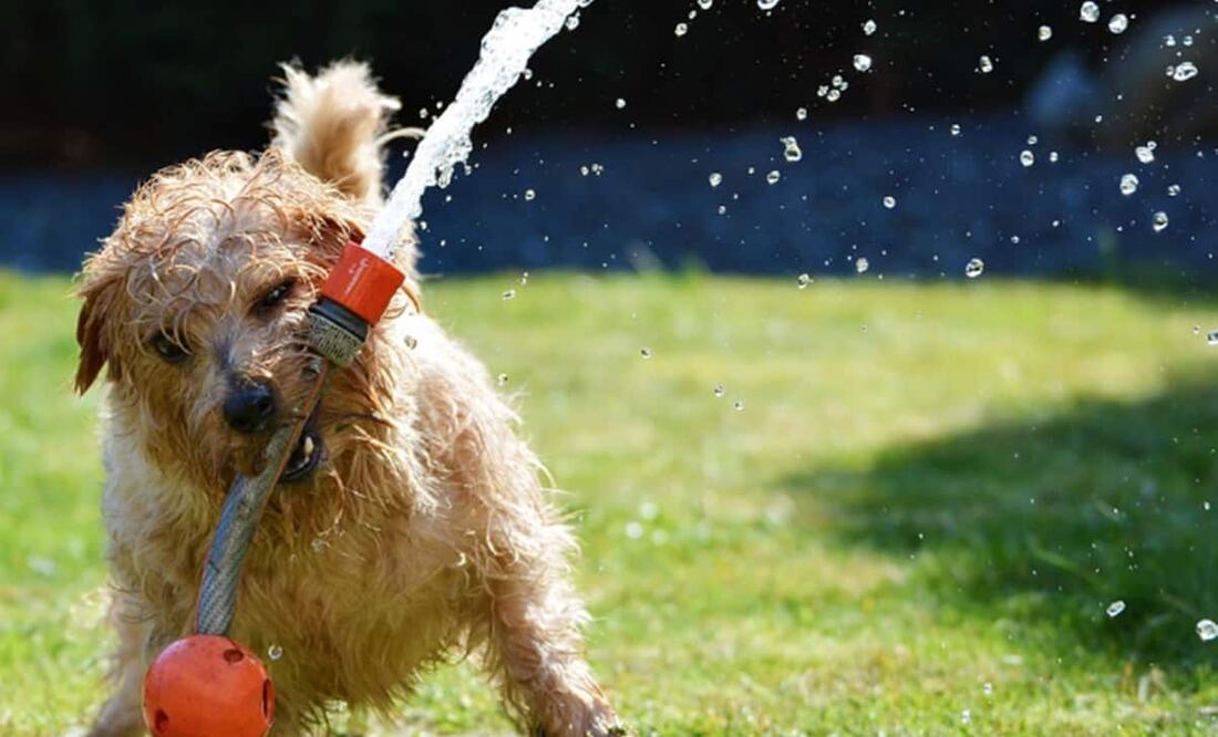 Se espera ambiente muy caluroso con cielo despejado y altos índices de radiación UV en la Ciudad de México