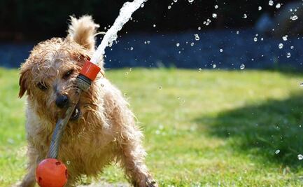 ¿Qué hora será la más calurosa este lunes 28 de marzo en CDMX?
