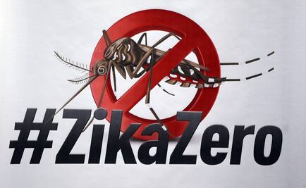 Rousseff y Obama trabajarán por una vacuna contra el zika