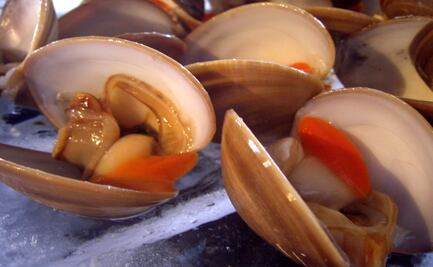 Se levanta la restricción de venta de ostiones por toxinas en Sinaloa