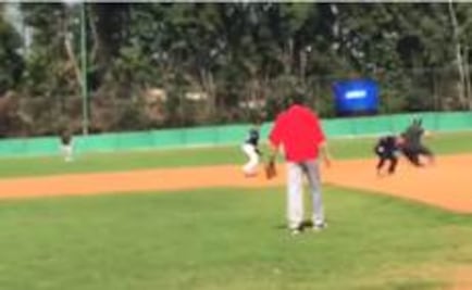 Carlos Loret de Mola sufre golpe en campo de beisbol