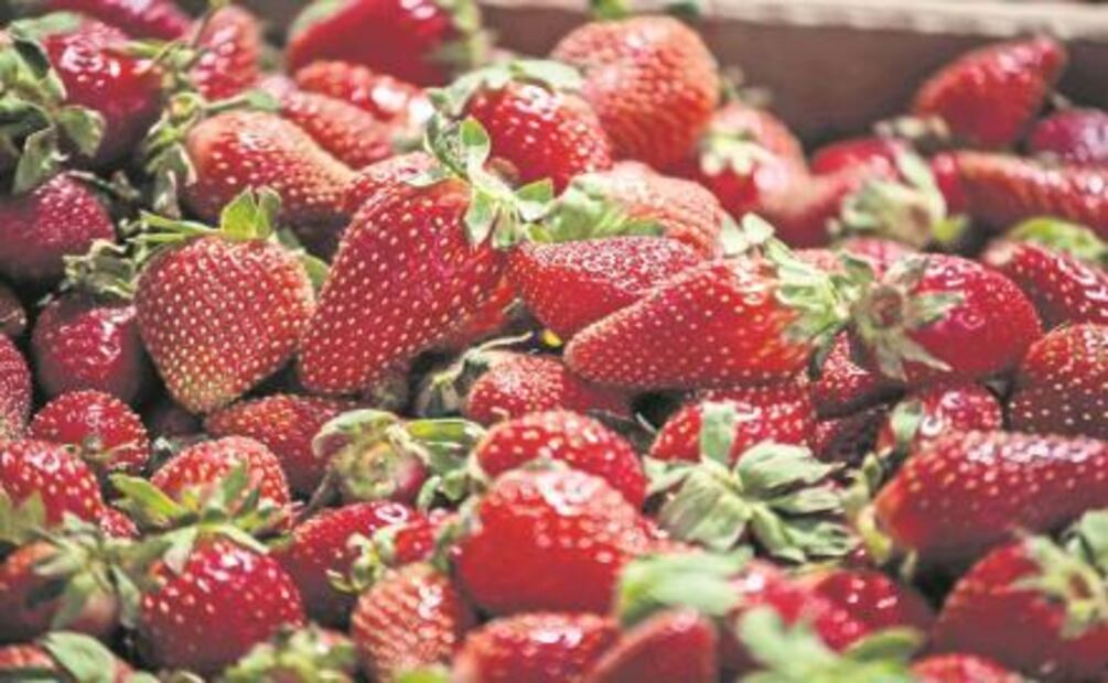 Once alimentos con las mismas calorías que un Unicorn Frappuccino