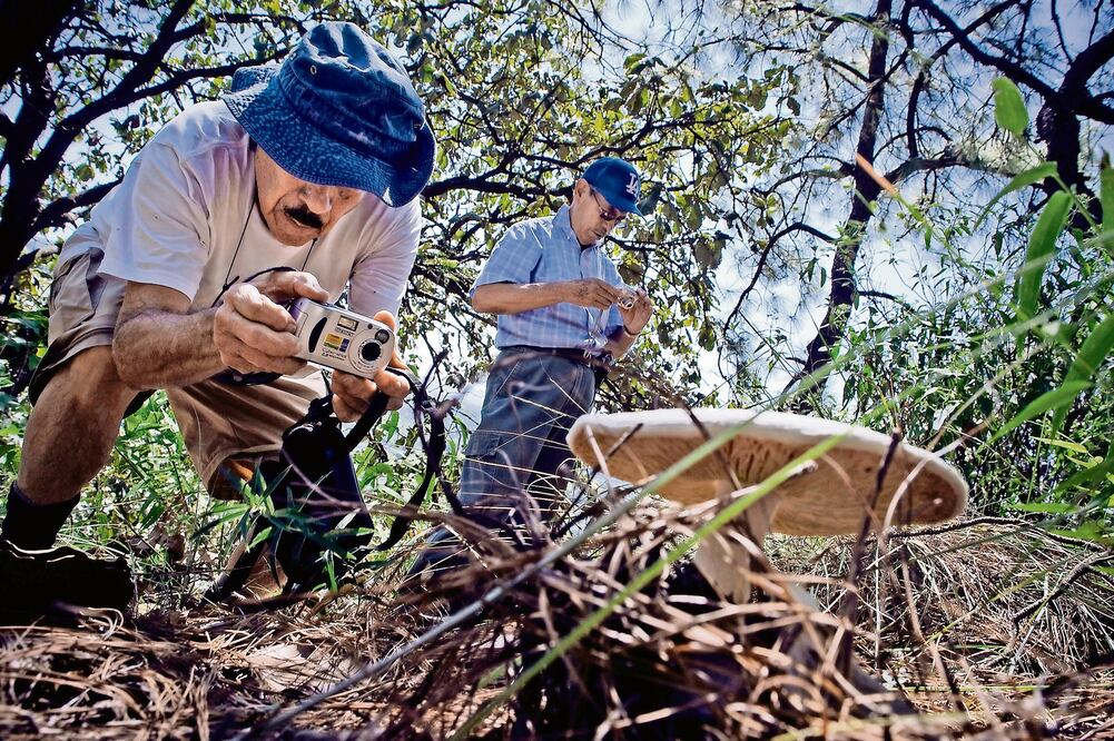 Según cálculos, el número de amenazas en esta área se han multiplicado (ALBERTO MENDOZA. EL UNIVERSAL)