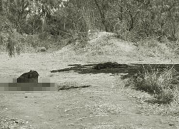 Hallan restos de una persona calcinada en la alcaldía Tláhuac; víctima permanece como desconocida