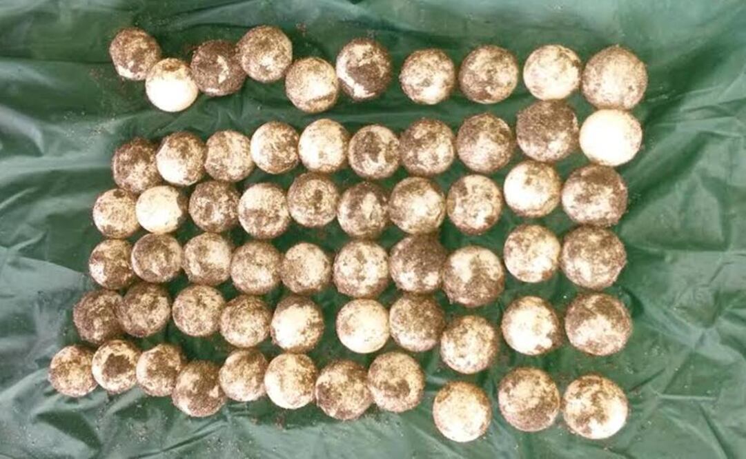 Foto: Oscar Gutiérrez / EL UNIVERSAL