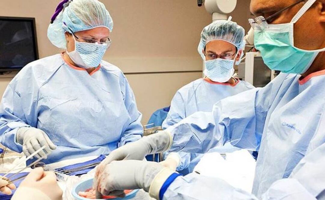 Lograron alargar la vida de los primates hasta una edad máxima nunca alcanzada hasta ahora. Foto: Archivo