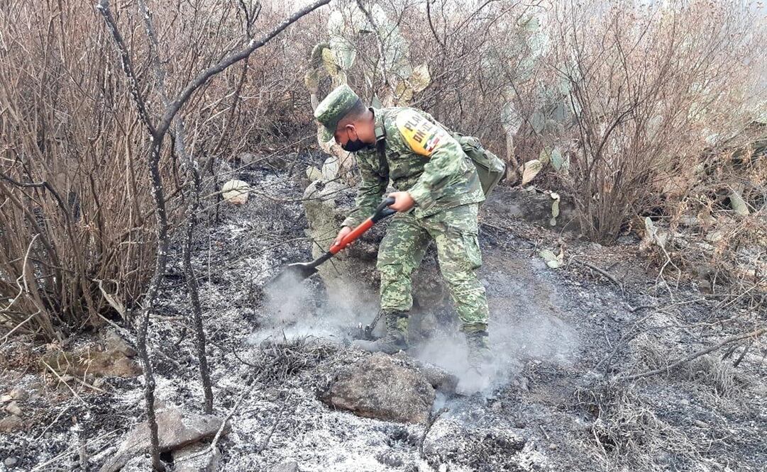 En las acciones para controlar el siniestro participan 60 brigadistas, entre personal municipal de la Secretaría de la Defensa Nacional y de grupos de conservación. Foto: Especial 