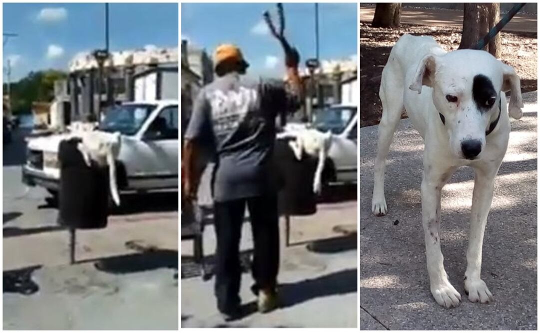 Fotos: capturas de pantalla y Twitter @AmbienteGobPue