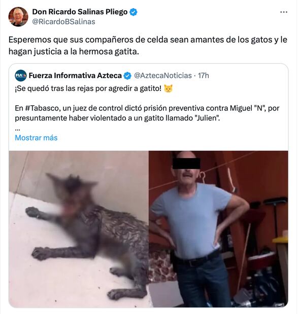 Salinas Pliego reacciona a detención de hombre que atacó a gatita en Villahermosa. Foto: Captura de pantalla