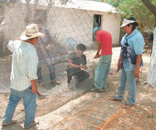 Vulnerables, 43.8 millones de personas