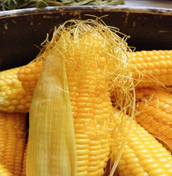 Qué le pasa al cuerpo si te comes las barbas del maíz