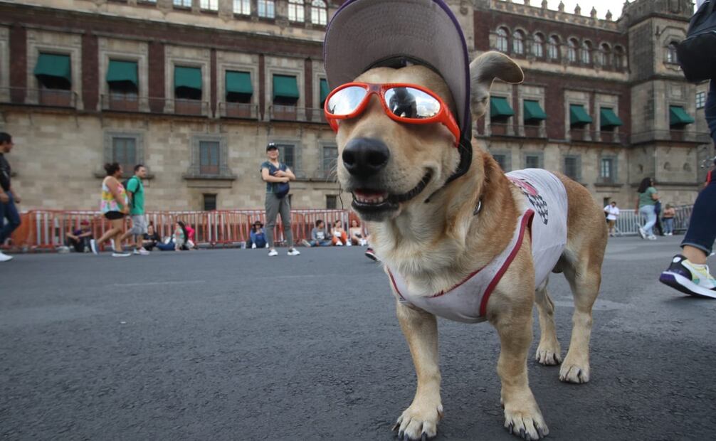 Foto:Carlos Odín/EL UNIVERSAL.