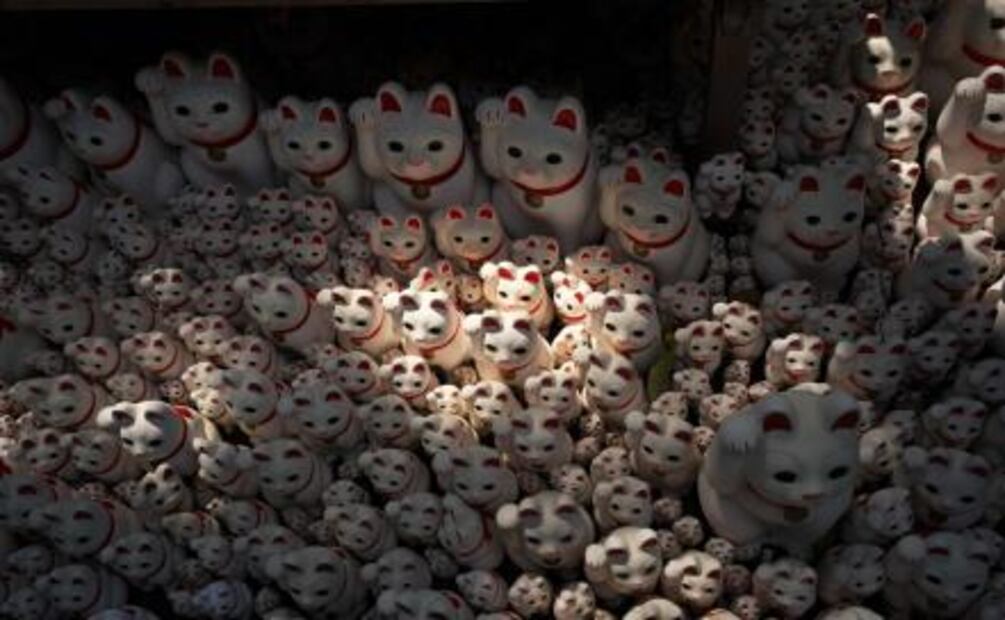 Templo de "gatos de la suerte" en Tokio atrae a 'instagramers' 