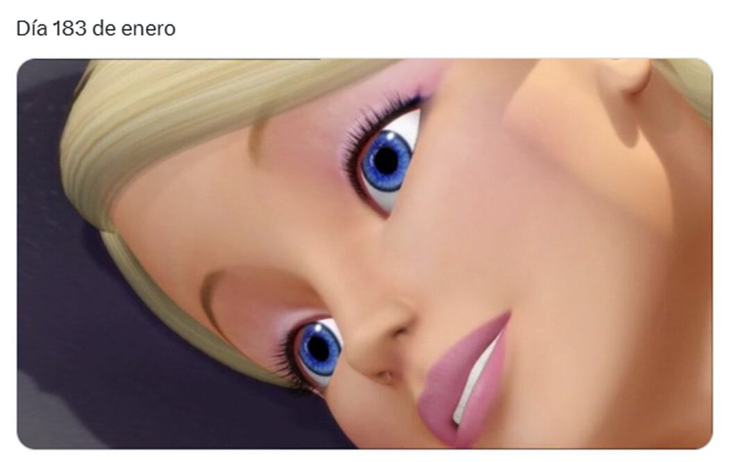 Memes de la última semana de enero.
Imagen: X