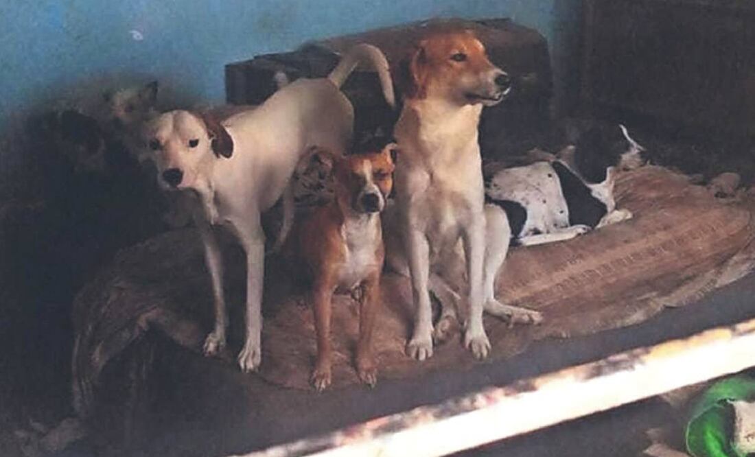 Foto: Ricardo Pérez, El Gráfico